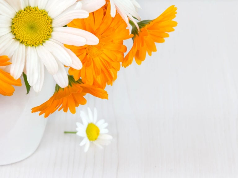 вътрешни хемороиди