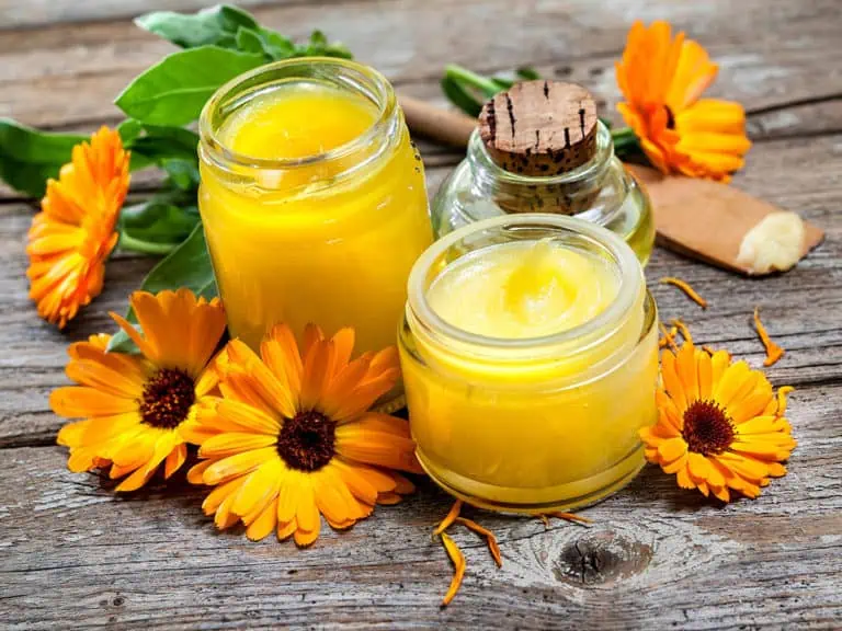 Билки за хемороиди