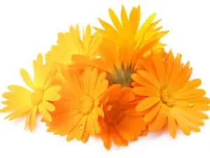 домашно лечение на хемороиди