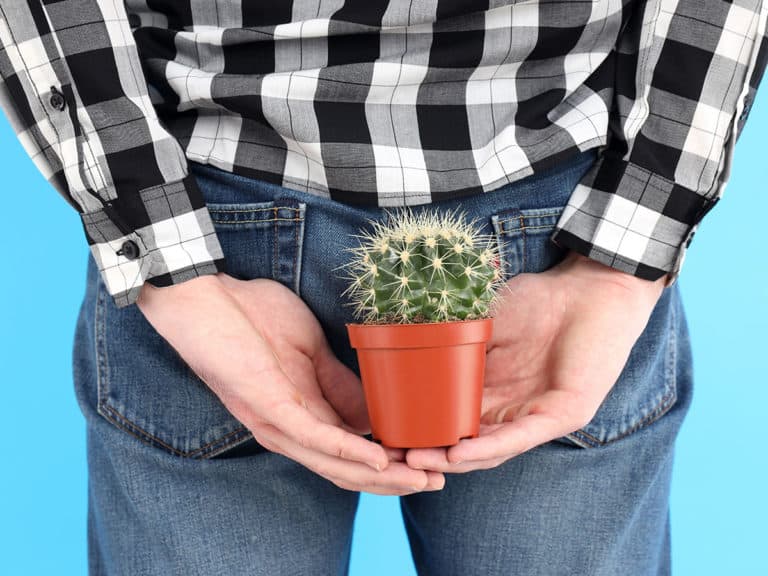 Кървят ли хемороидите