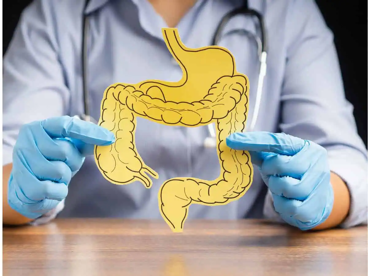 защо се появяват хемороиди