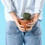 възпалени хемороиди